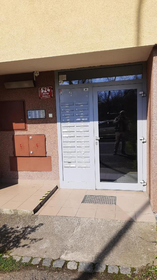 Apartament Kamyk *